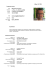 curriculum professionale
