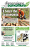 Dimensione Agricoltura