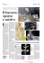 Il Mattino - Officina Libraria