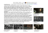Microsoft PowerPoint - Vogliamo presentare il cinema