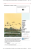 Il Fatto Quotidiano.it