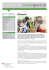Giocare - mobilesport.ch