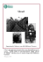 Shoah (pdf - 269,3 KB)