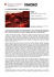 08. CS_MACRO_la collezione e i nuovi arrivi