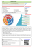 it service management