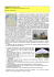 Apri - Gruppo Archeologico del Territorio Cerite