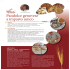 VITALA_Pandolce genovese_11