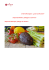 Unterrichtssequenz „Essen und kochen“