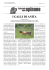 i galli di anita - giornale dello spinone