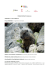 Un appetito da marmotte - Parco Nazionale Gran Paradiso