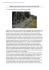 stampa scheda in pdf
