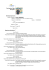 Curriculum Vitae Europass