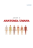 APPUNTI ANATOMIA 1^ PARTE - Secondo Istituto Comprensivo