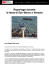Reportage durante la festa di San Marco a Venezia con