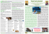 22nd Sunday in Ordinary Time - Newsletter 30th August 2015 year B