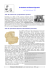 Evoluzione dei Sistemi Operativi