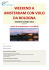 weekend a amsterdam con volo da bologna
