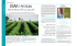 ogm e pesticidi - FARE | Food and Agriculture Requirements