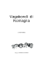 Vagabondi di Romagna