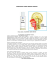 Cellfood Diet - Erboristeria Arcobaleno