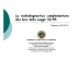 La radiodiagnostica complementare alla luce della legge 42 del 99