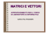 MATRICI E VETTORI