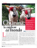 Chianina, la migliore del mondo
