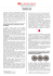 Newsletter settembre 2015
