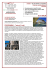 Scarica l`allegato PDF