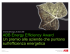 ABB Energy Efficiency Award Un premio alle aziende che puntano