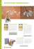 DECORAZIONE TRIDIMENSIONALE