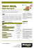 ROCK WOOL - Colori Decora Home
