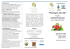 Programma Peveragno che ride
