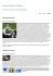 Mimma Pallavicini`s Weblog | memorie e appunti dal