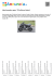 Quad yamaha raptor 700 edizione limited