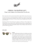 0.17 MB - Luxottica