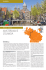 amsterdam e l`olanda - Caldana Tour Operator