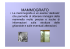 MAMMOGRAFO