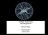 Fibrosarcoma congenito/infantile