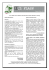 il flash - IPMS Italia