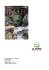 Myanmar 2005 Myanmar 2005 Estratto da: Kur, 5, 2005 Reprinted