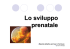 lMateriale didattico prof.ssa G. Perricone