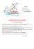 Proposte maratona di lettura - istituto comprensivo g. falcone