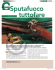 scarica allegato - Davide Pedersoli