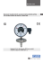 Manometri modello 632.51 secondo direttiva 94/9/CE (ATEX