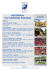 GUATEMALA: Tour Guatemala Essenziale