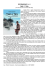 Tasi e Tira-Recensione e curriculum