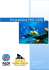 Programma PRO DIVE