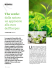 The verde: dalla natura un approccio alla cura dell`herpes