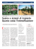 Susino e sistemi di impianto Quanto costa l